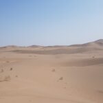 Shamanic journey in a dream
