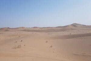 Read more about the article Shamanic journey in a dream